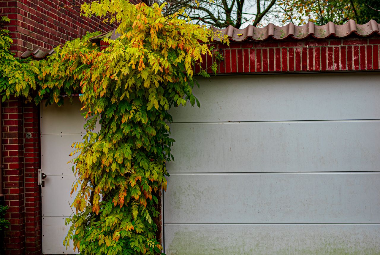 Garage door service in Edison, NJ